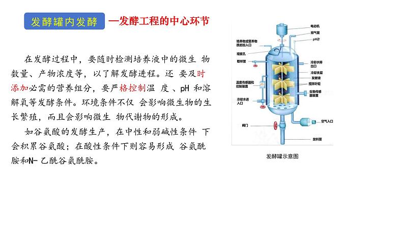 1.3发酵工程及其应用 课件(内嵌视频)第7页
