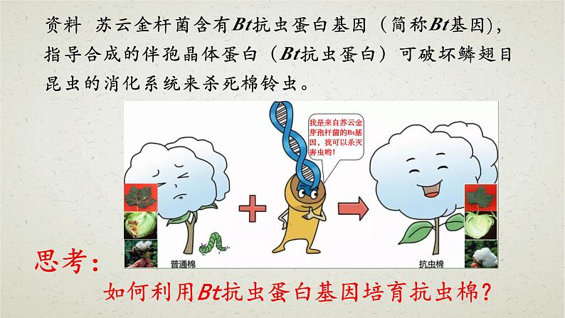 3.1第三章第一节 重组DNA技术的基本工具 课件(内嵌视频)第3页