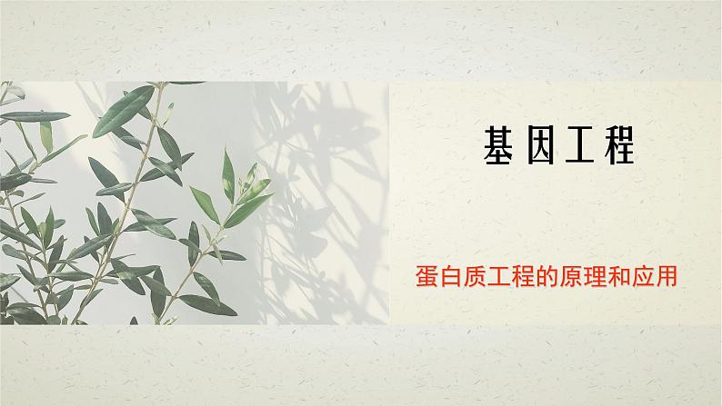 3.4第三章第四节 蛋白质工程的原理和应用 课件第1页