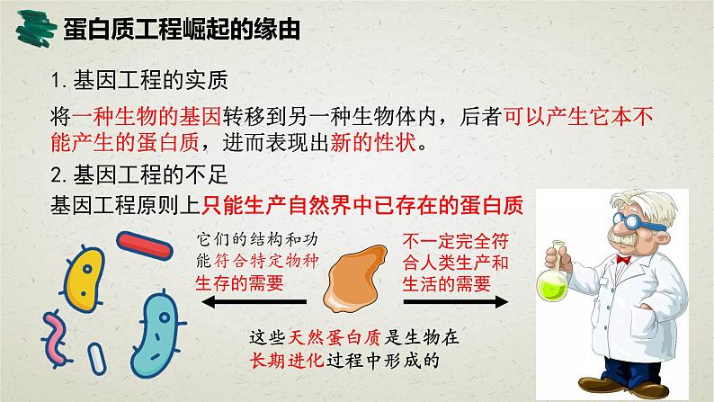 3.4第三章第四节 蛋白质工程的原理和应用 课件第4页