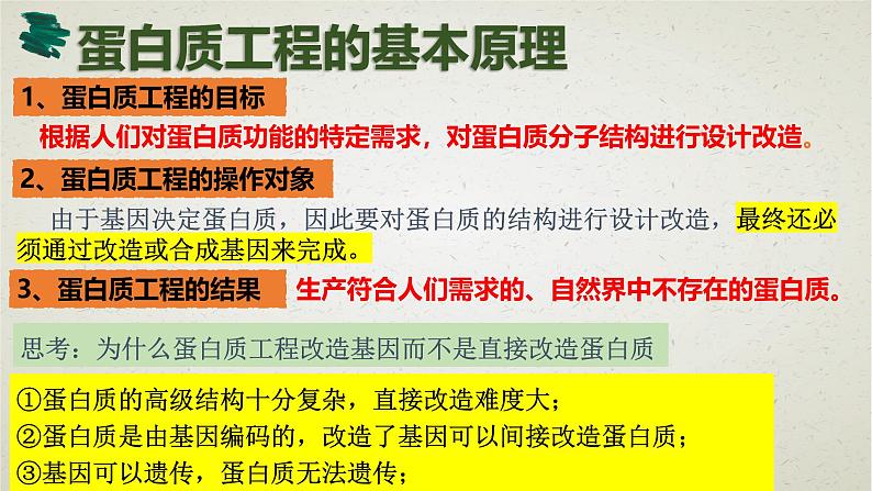 3.4第三章第四节 蛋白质工程的原理和应用 课件第7页