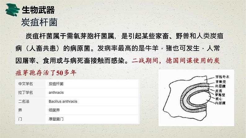 4.3第四章第三节 禁止生物武器 课件第7页