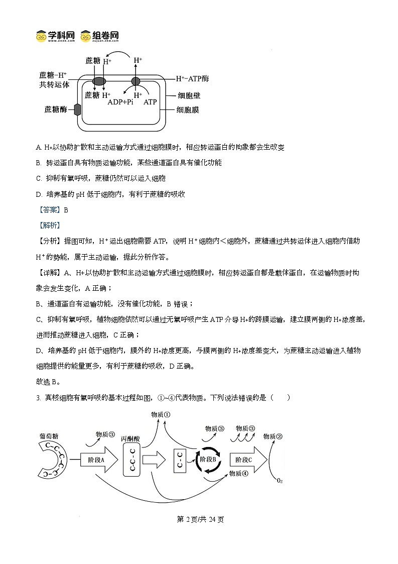 山东省菏泽市2024-2025学年高三上学期生物期末考试生物试题含解析第2页