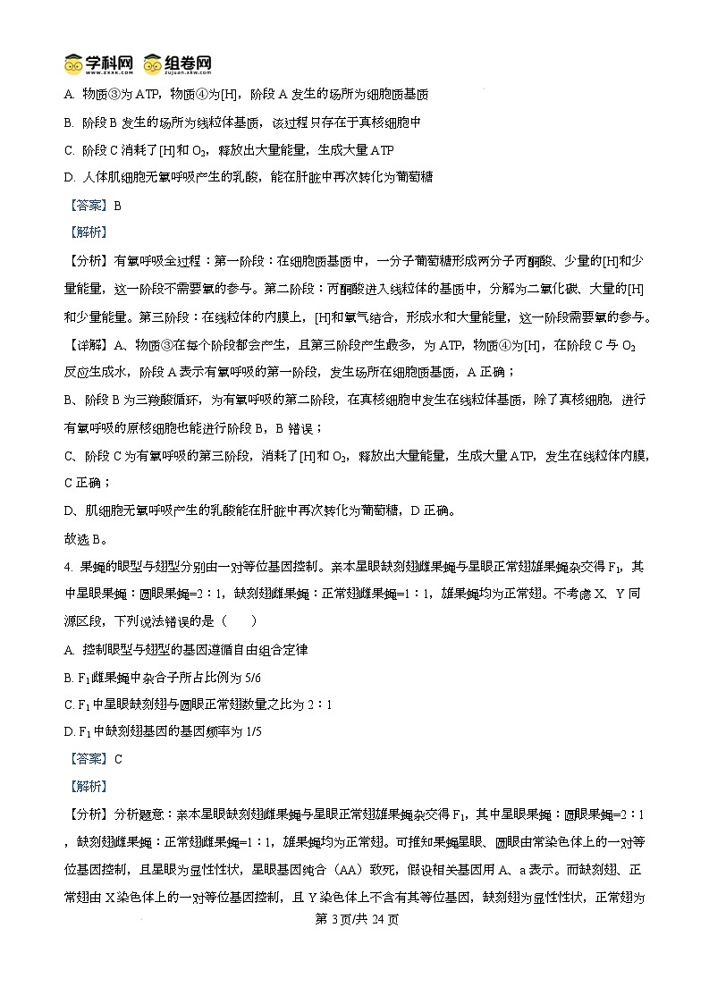 山东省菏泽市2024-2025学年高三上学期生物期末考试生物试题含解析第3页