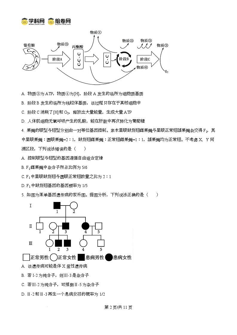 山东省菏泽市2024-2025学年高三上学期生物期末考试生物试题无答案第2页