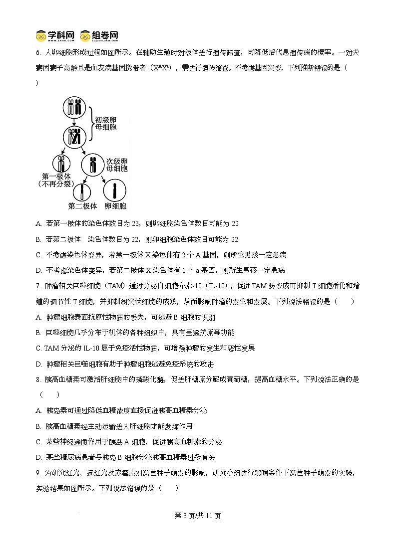 山东省菏泽市2024-2025学年高三上学期生物期末考试生物试题无答案第3页