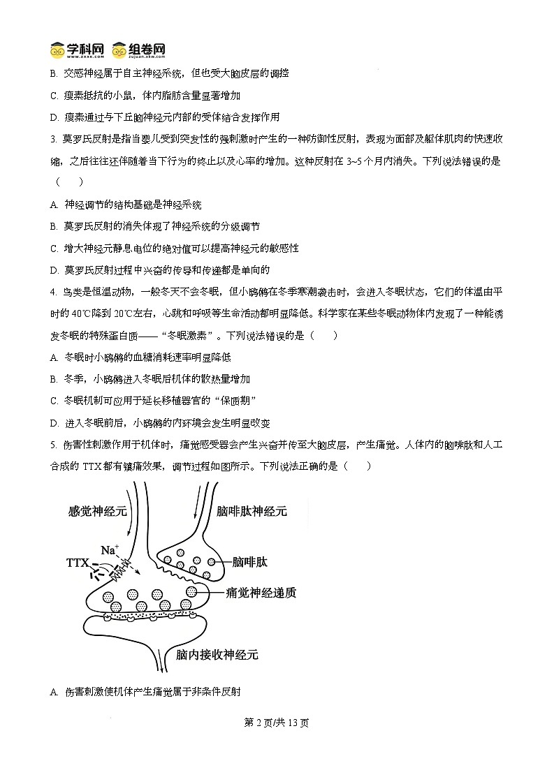 山东省德州市2024-2025学年高三上学期1月期末生物试题无答案第2页