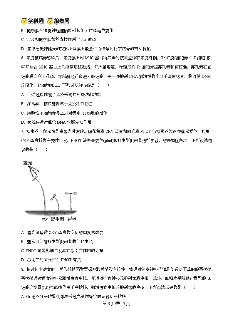 山东省德州市2024-2025学年高三上学期1月期末生物试题无答案第3页