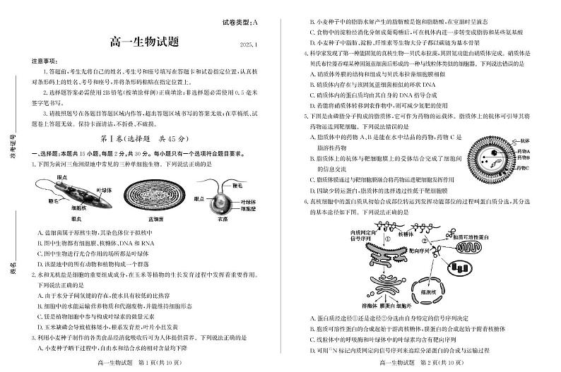 山东省滨州市2024-2025学年高一上学期1月期末生物试题第1页