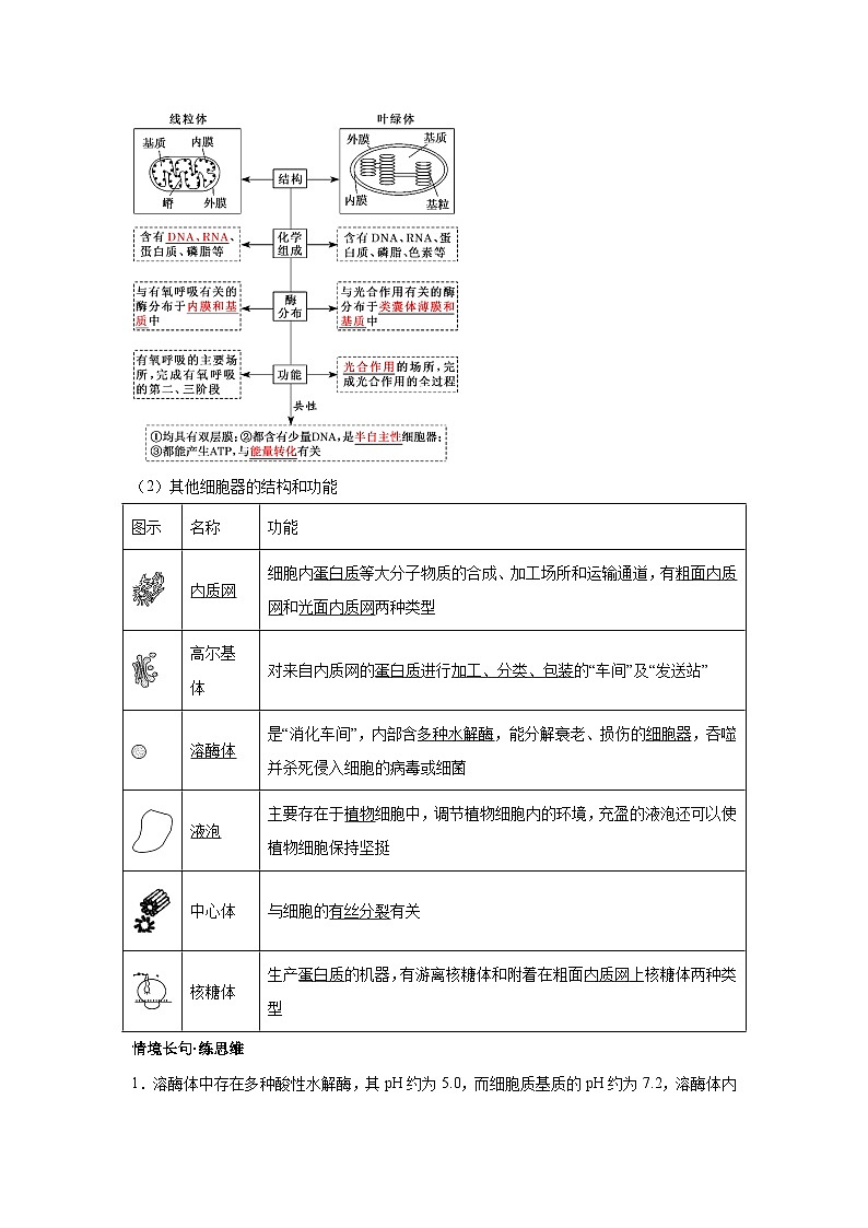 高中生物一轮复习讲练第5讲细胞器和生物膜系统.含解析答案第2页