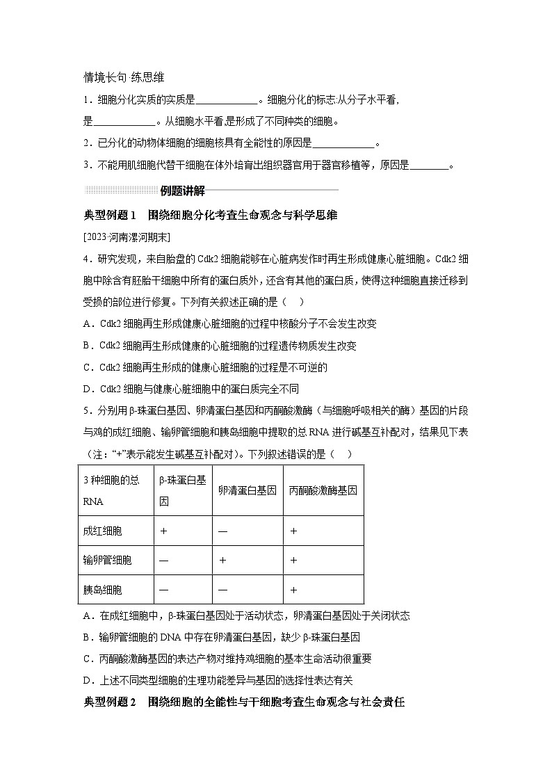 高中生物一轮复习讲练第13讲细胞的分化、衰老、凋亡含解析答案第2页