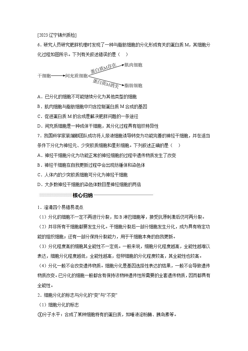高中生物一轮复习讲练第13讲细胞的分化、衰老、凋亡含解析答案第3页