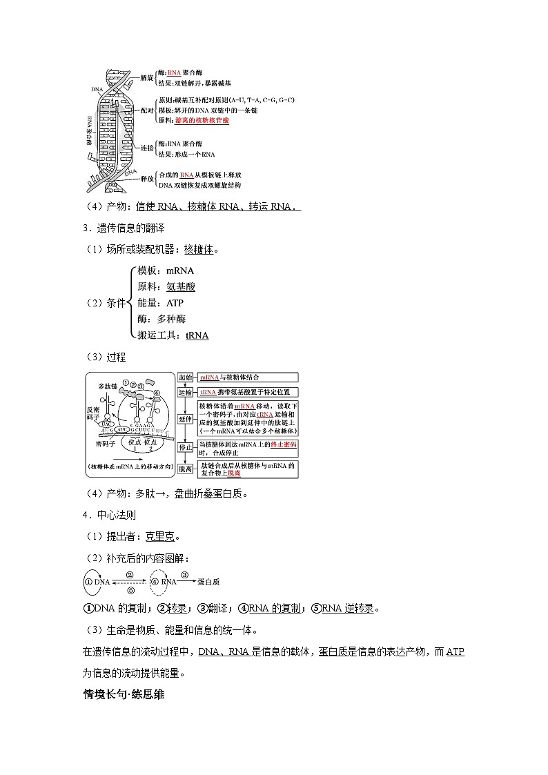 高中生物一轮复习讲练第21讲基因的转录、翻译、基因与性状的关系含解析答案第2页