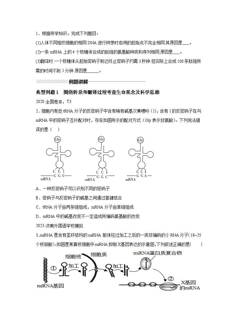 高中生物一轮复习讲练第21讲基因的转录、翻译、基因与性状的关系含解析答案第3页