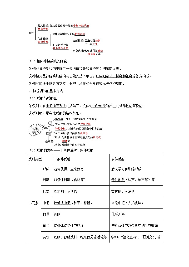 高中生物一轮复习讲练第25讲神经调节含解析答案第2页