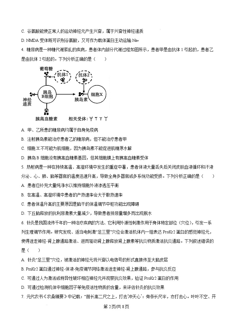 山西省太原市2024-2025学年高三上学期期末学业诊断生物试题 Word版无答案第2页