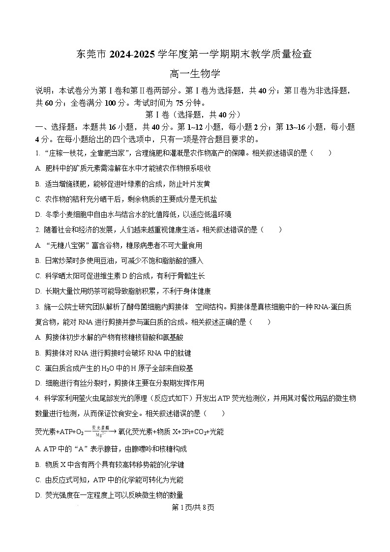 广东省东莞市2024-2025学年高一上学期1月期末生物试题 Word版无答案第1页