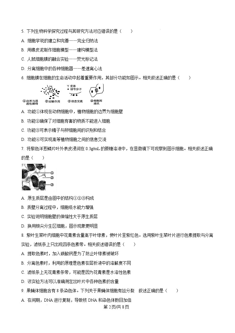 广东省东莞市2024-2025学年高一上学期1月期末生物试题 Word版无答案第2页