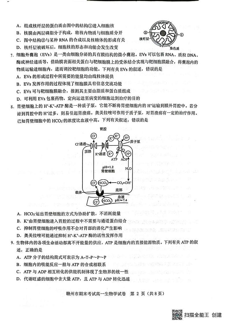 高一生物 高一生物第2页