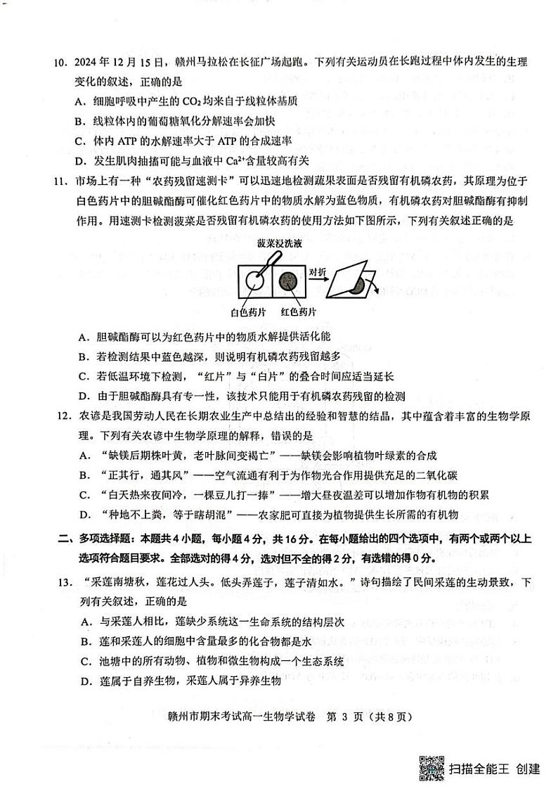 高一生物 高一生物第3页