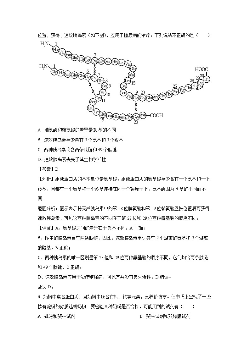 新疆维吾尔自治区伊犁哈萨克自治州伊犁州直,奎屯农四师,农七师2024-2025学年高一上学期1月期末生物试题(解析版)第3页