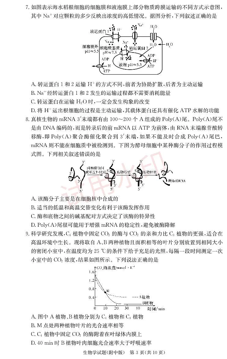 湖南师范大学附属中学2024届高三上学期月考(二)生物_加水印第3页