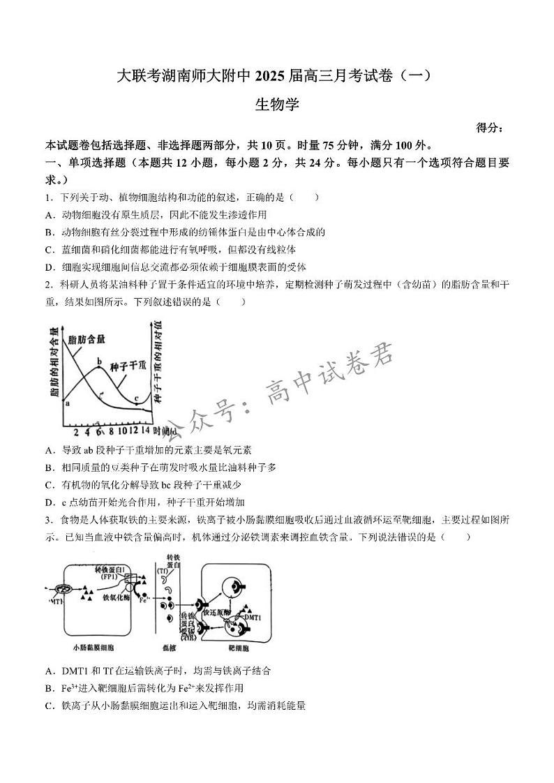 湖南省长沙市湖南师范大学附属中学2024-2025学年高三上学期月考(一)生物试题+答案第1页