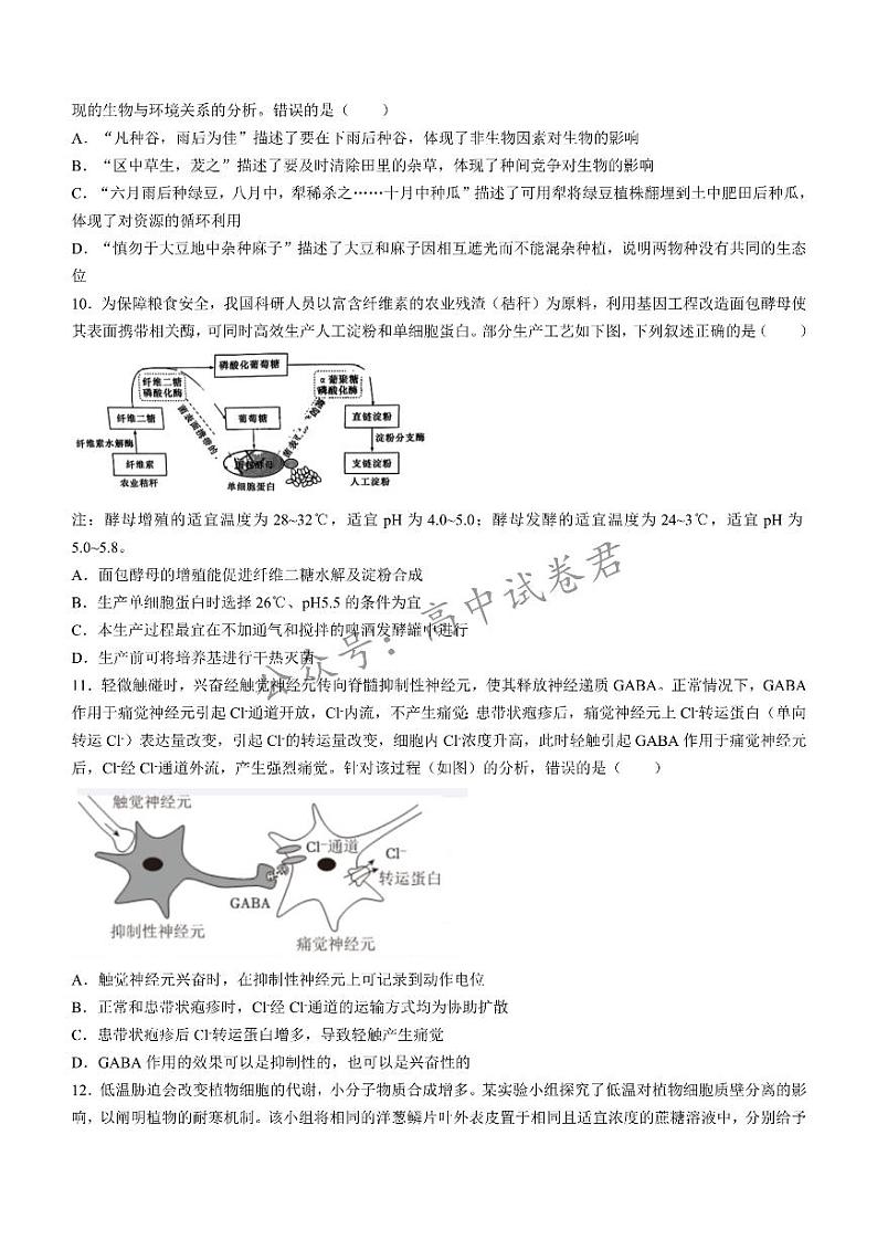 湖南省长沙市湖南师范大学附属中学2024-2025学年高三上学期月考(一)生物试题+答案第3页