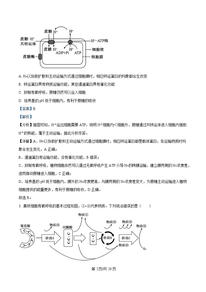 山东省菏泽市2024-2025学年高三上学期生物期末考试生物试题含解析第2页