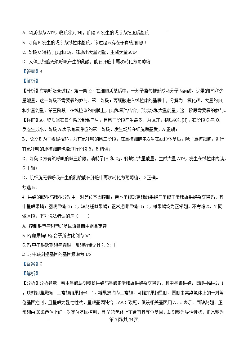 山东省菏泽市2024-2025学年高三上学期生物期末考试生物试题含解析第3页