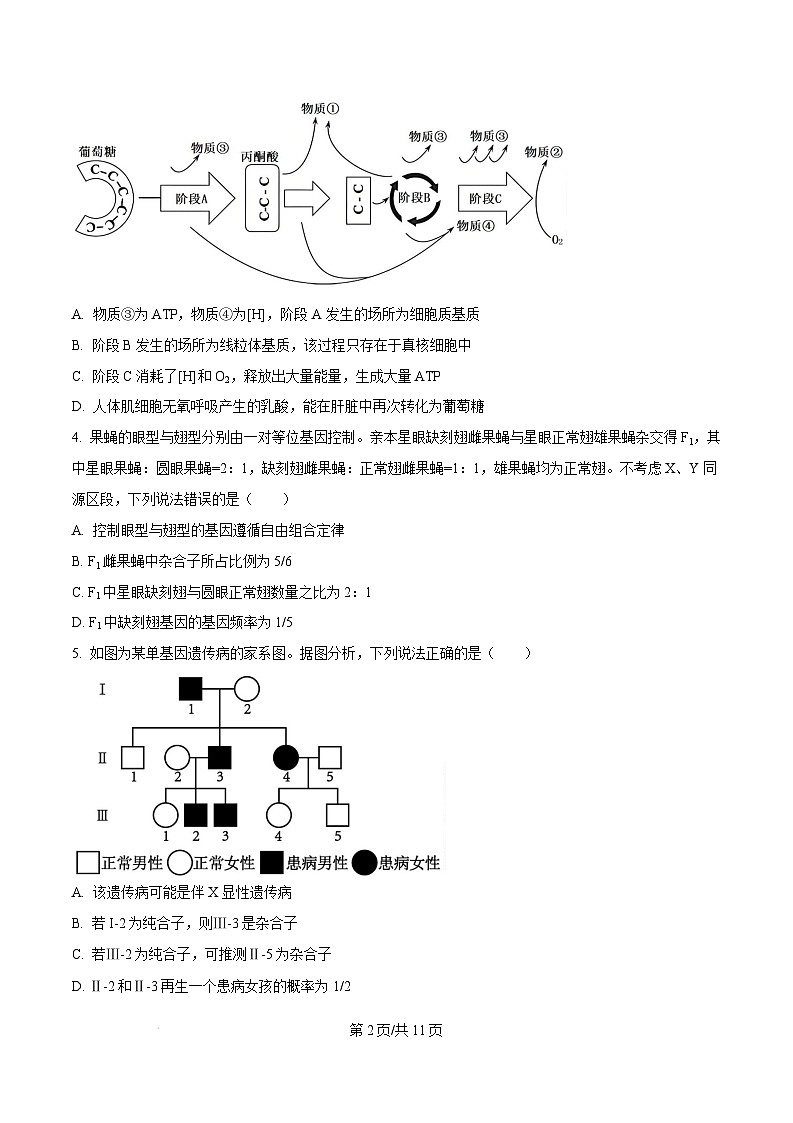 山东省菏泽市2024-2025学年高三上学期生物期末考试生物试题无答案第2页
