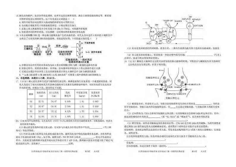 生物丨江西省重点中学协作体2025届高三下学期2月开学第一次联考生物试卷及答案第3页