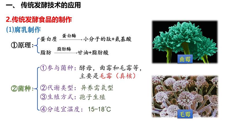 第49讲 传统发酵技术的应用与发酵工程-备战2025年高考生物一轮复习精品课件(新高考通用)第5页