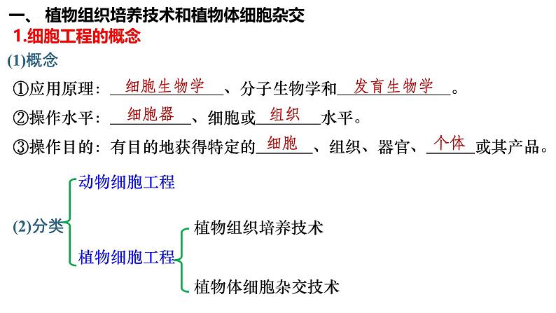 第51讲 植物细胞工程-备战2025年高考生物一轮复习精品课件(新高考通用)第3页