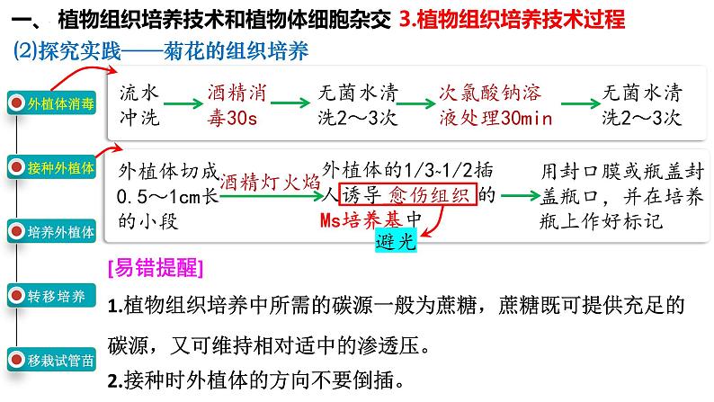第51讲 植物细胞工程-备战2025年高考生物一轮复习精品课件(新高考通用)第6页