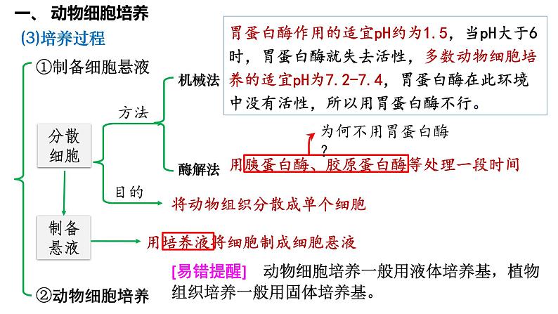 第52讲 动物细胞工程-备战2025年高考生物一轮复习精品课件(新高考通用)第5页