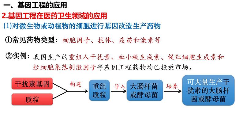 第55讲 基因工程的应用和蛋白质工程-备战2025年高考生物一轮复习精品课件(新高考通用)第6页