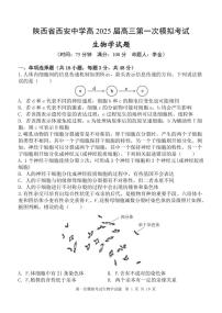 2025西安中学高三下学期第一次模拟考试生物PDF版无答案
