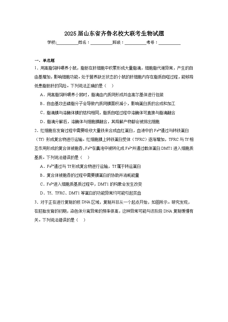 2025届山东省齐鲁名校大联考高三生物试题第1页