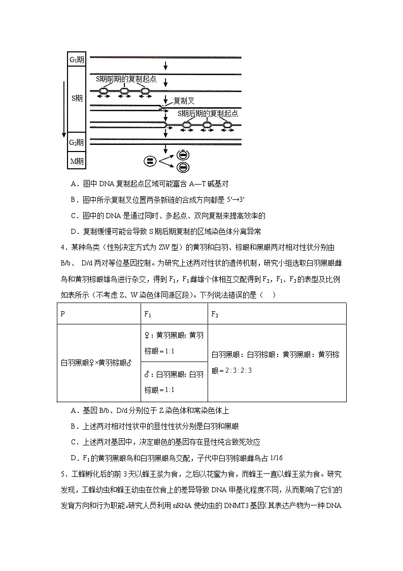 2025届山东省齐鲁名校大联考高三生物试题第2页