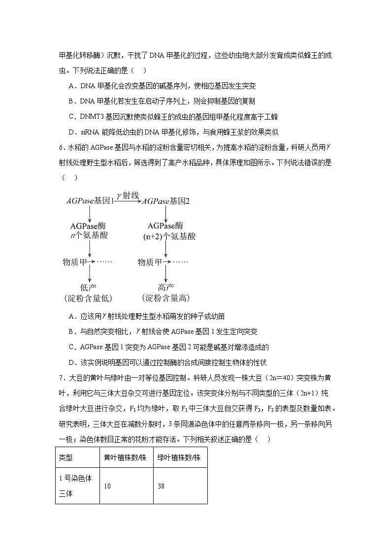2025届山东省齐鲁名校大联考高三生物试题第3页
