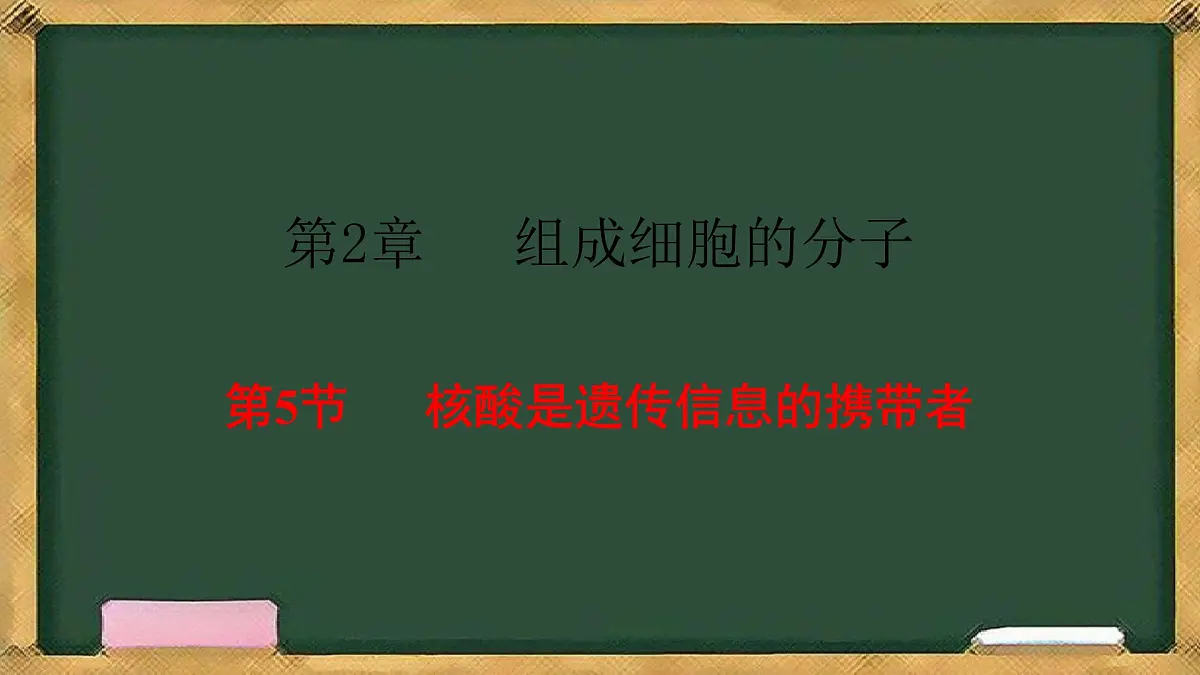 人教版高中生物必修一 2.5核酸是遗传信息的携带者 课件第1页