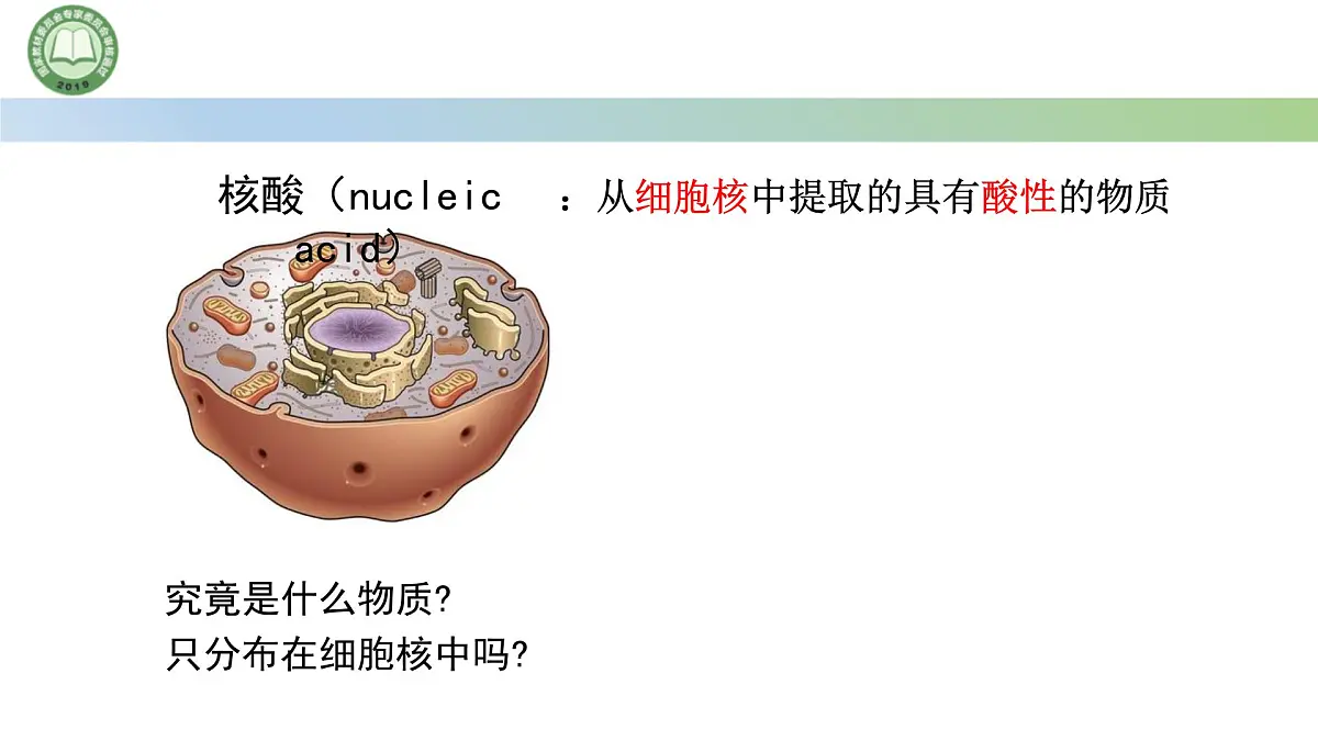 人教版高中生物必修一 2.5核酸是遗传信息的携带者 课件第3页