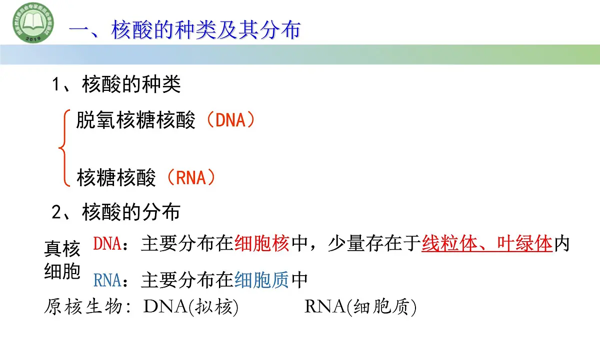 人教版高中生物必修一 2.5核酸是遗传信息的携带者 课件第4页
