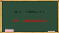 生物必修1《分子与细胞》第3节 细胞核的结构和功能教课内容ppt课件