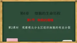 人教版高中生物必修一 第6章   细胞的生命历程 第1节细胞的增殖 第2课时 观察根尖分生区组织细胞的有丝分裂 课件