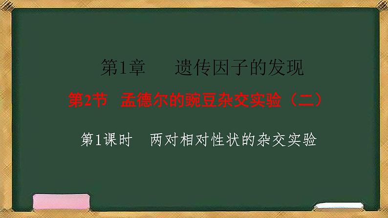 人教版高中生物必修二 1.2孟德尔的豌豆杂交实验(二) 第1课时 两对相对性状的杂交实验 课件第1页