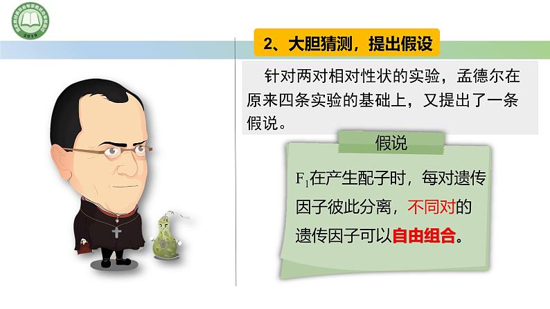 人教版高中生物必修二 1.2孟德尔的豌豆杂交实验(二) 第1课时 两对相对性状的杂交实验 课件第7页