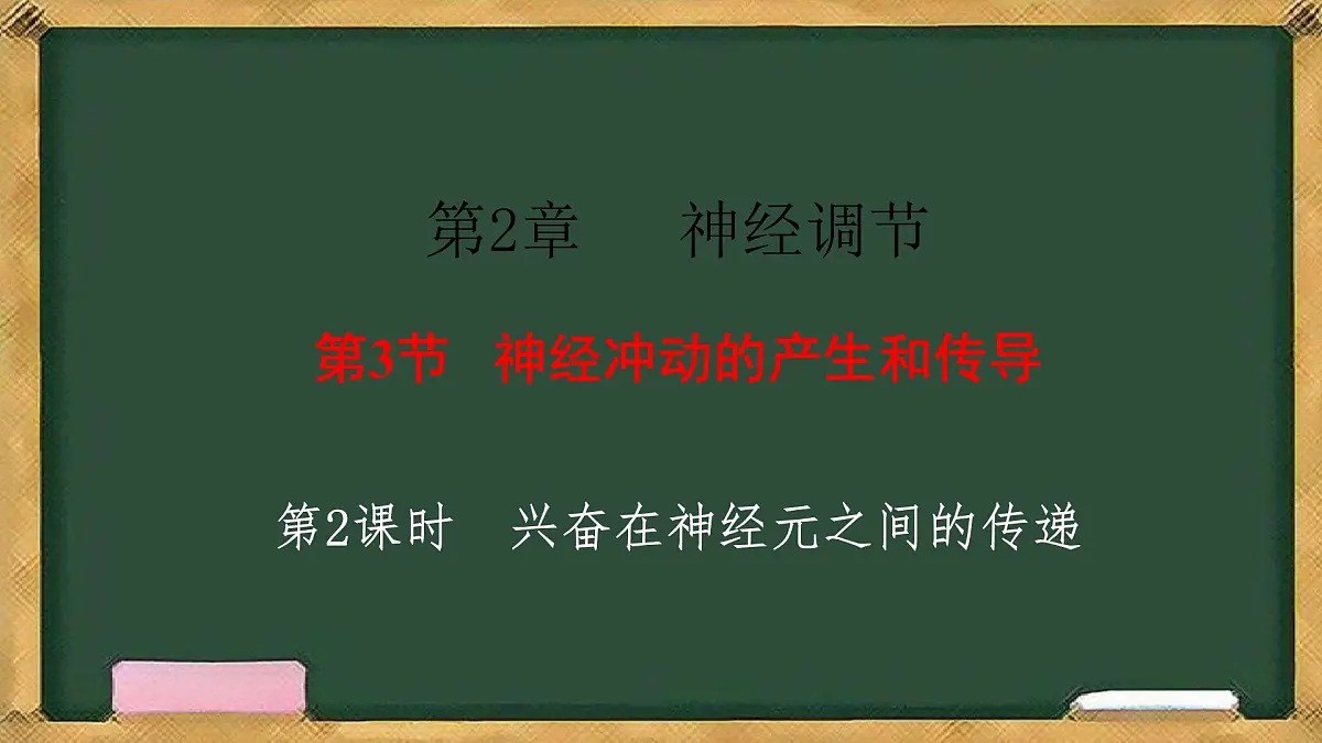 生物人教版(2019)选择性必修1 2.3神经冲动的产生和传导 第2课时 兴奋在神经元之间的传递课件第3页