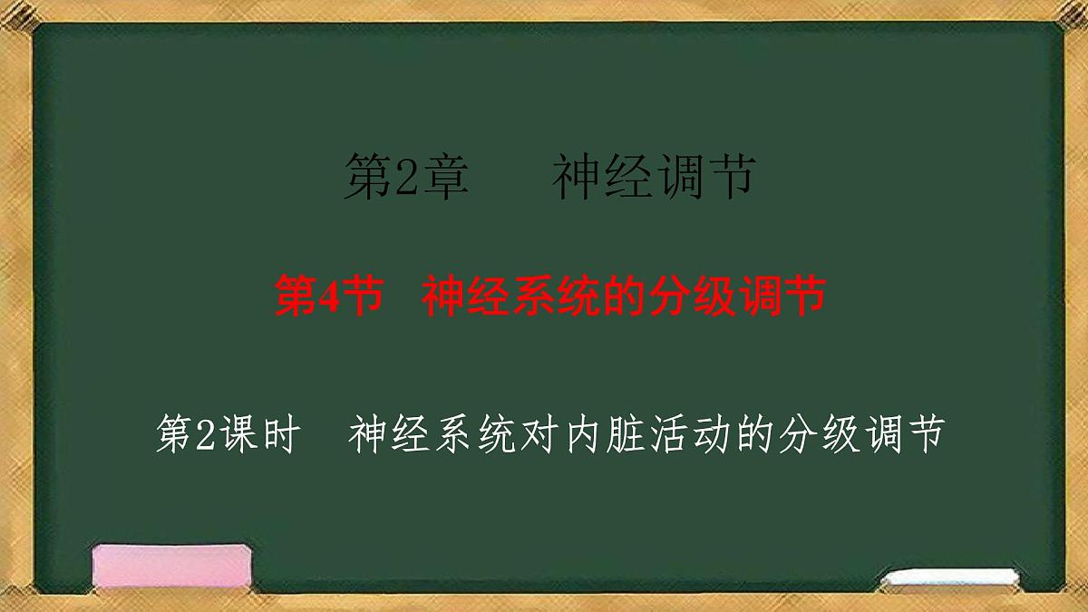 生物人教版(2019)选择性必修1 2.4神经系统的分级调节 第2课时 神经系统对内脏活动的分级调节课件第1页